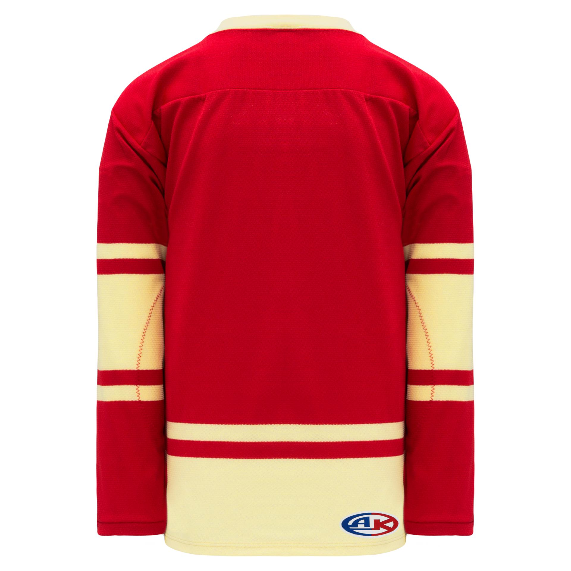 BRAND NEW) Hockey Jersey (SMALL)